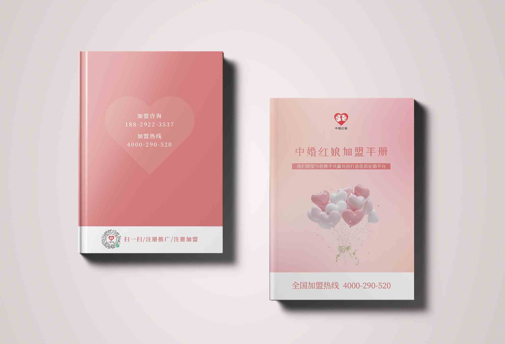 粉色宣传册(图1)